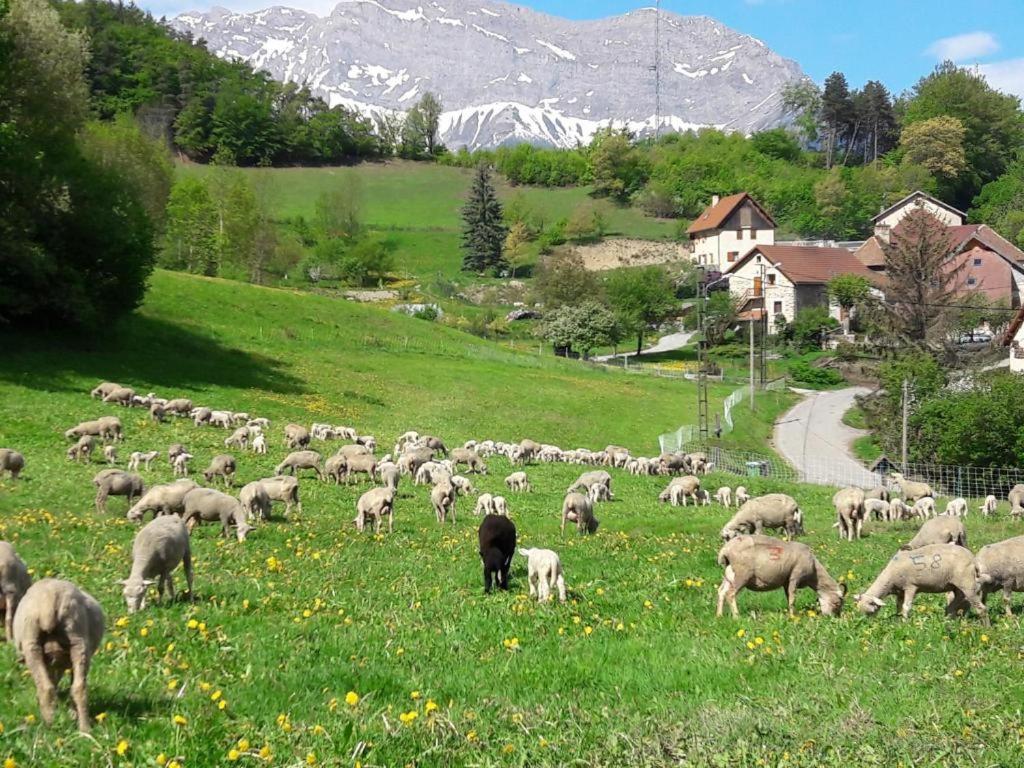 Les Clarines Perceneige - Chambre D'Hotes Vue Sur Montagne & Spa Saint-Jacques-en-Valgodemard Eksteriør billede